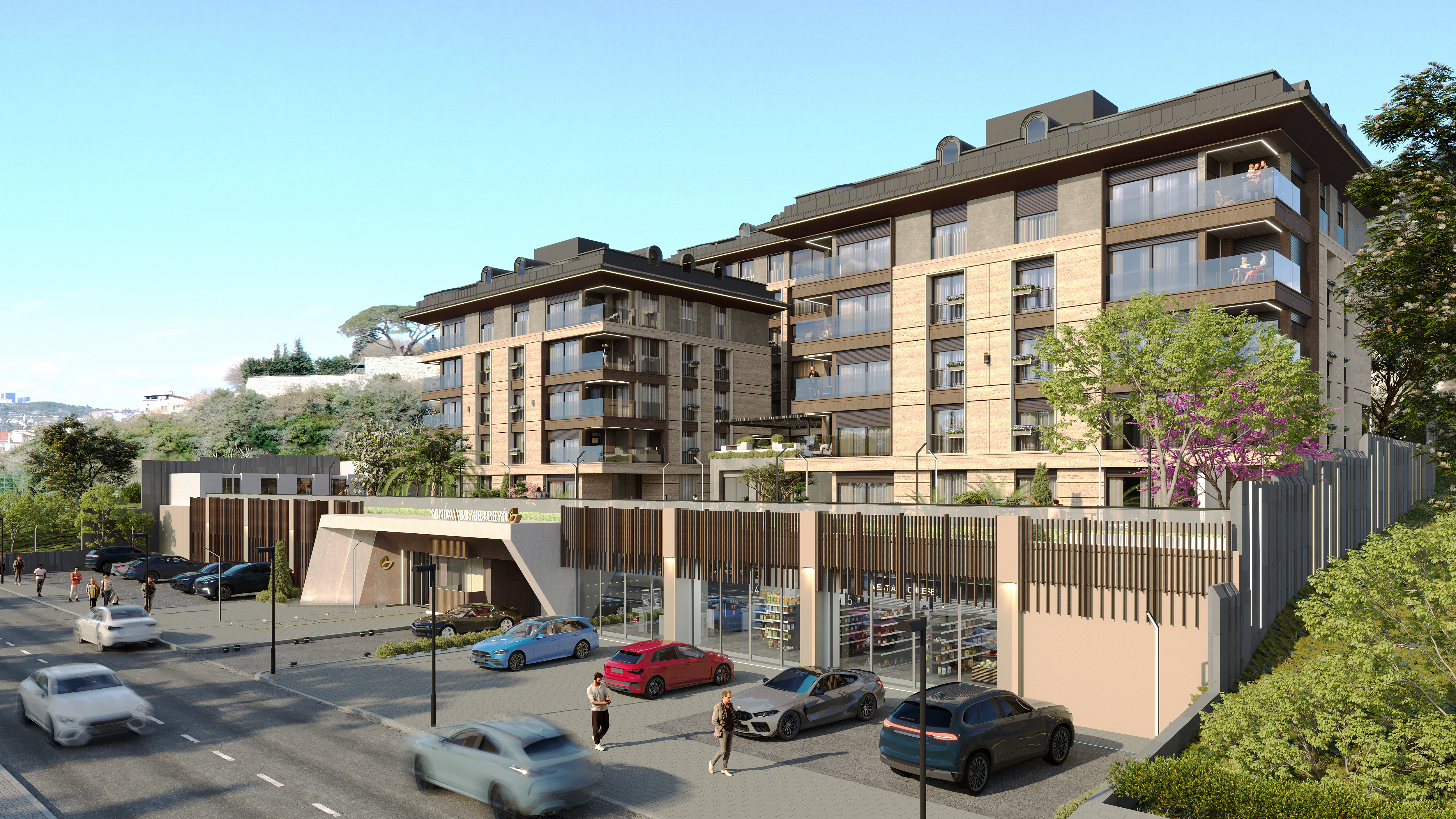 Göktürk Project